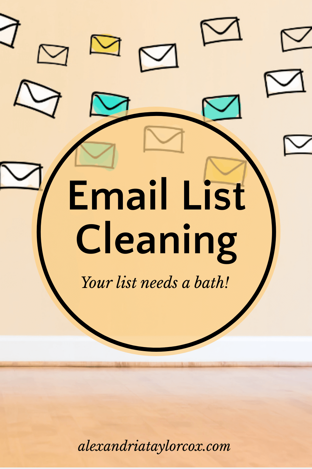 program to clean email list